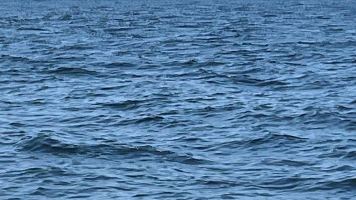 Newburyport water rescue: Man thrown from boat at Merrimack River