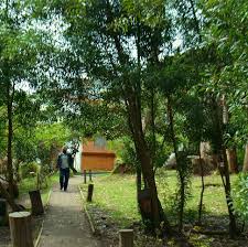 PASTO SIGUE MEJORANDO EL MEDIO AMBIENTE
