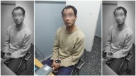 Detuvieron a un hombre de 33 Años tras intentar robar un bolso de un vehículo