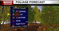 Fall foliage so far: Feels like fall, but it doens't look like it