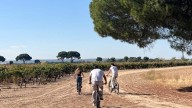 La preboda de la hija de Antonio Banderas: del paseo en bici por viñedos a un tapeo por Valladolid