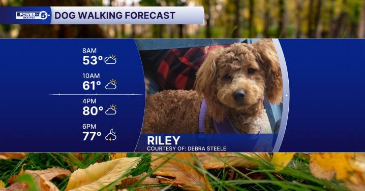 Give us a big "Woof woof" for warm walking weather!