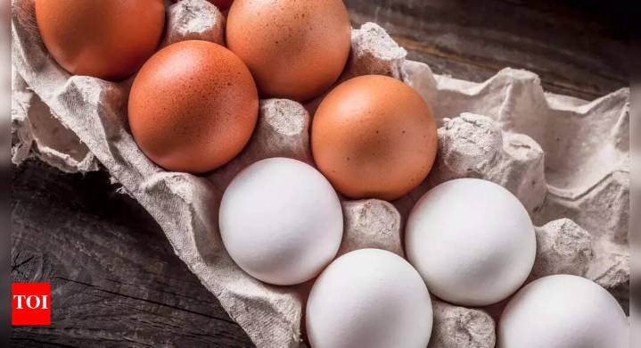 Millions of eggs recalled over salmonella warning – check your fridge for THESE brands