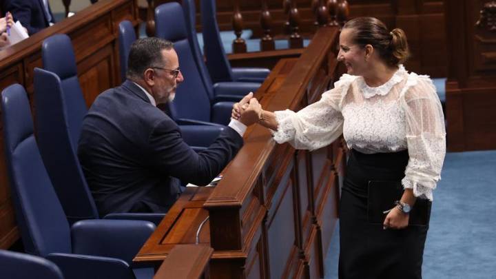 El Parlamento se arraya un millo en defensa de 13.000 canarismos