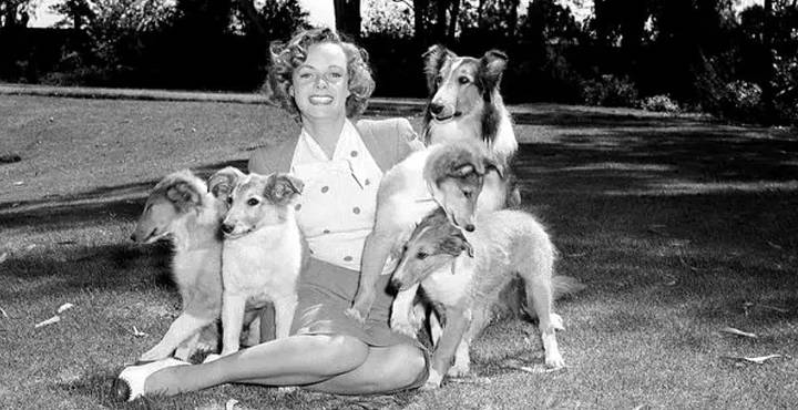 June Lockhart, ícono de ‘Lassie’, muere a los 100 años