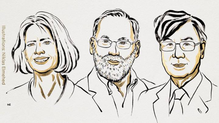 Mary E Brunkow, Fred Ramsdell, Shimon Sakaguchi Awarded 2025 Nobel Prize In Medicine
