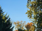 NJ weather: Nice day, wet night, then trending cooler