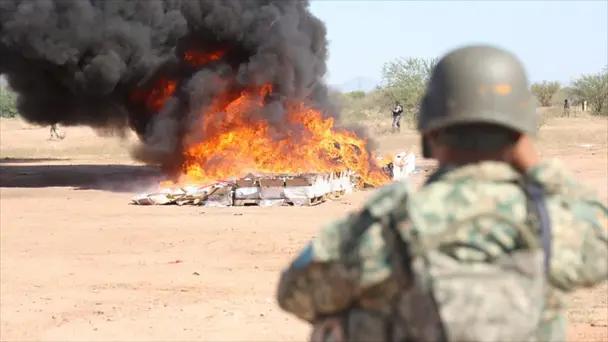 Incineran más de una tonelada de metanfetamina y más drogas