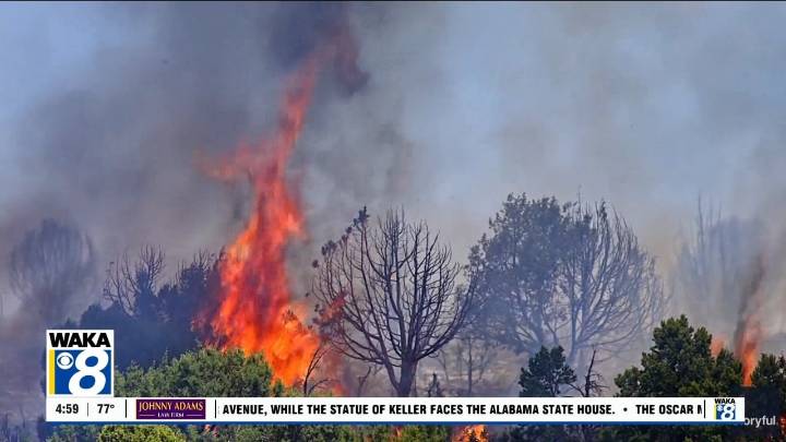 Alabama Forestry Commission: State Fire Danger Advisory is still in effect
