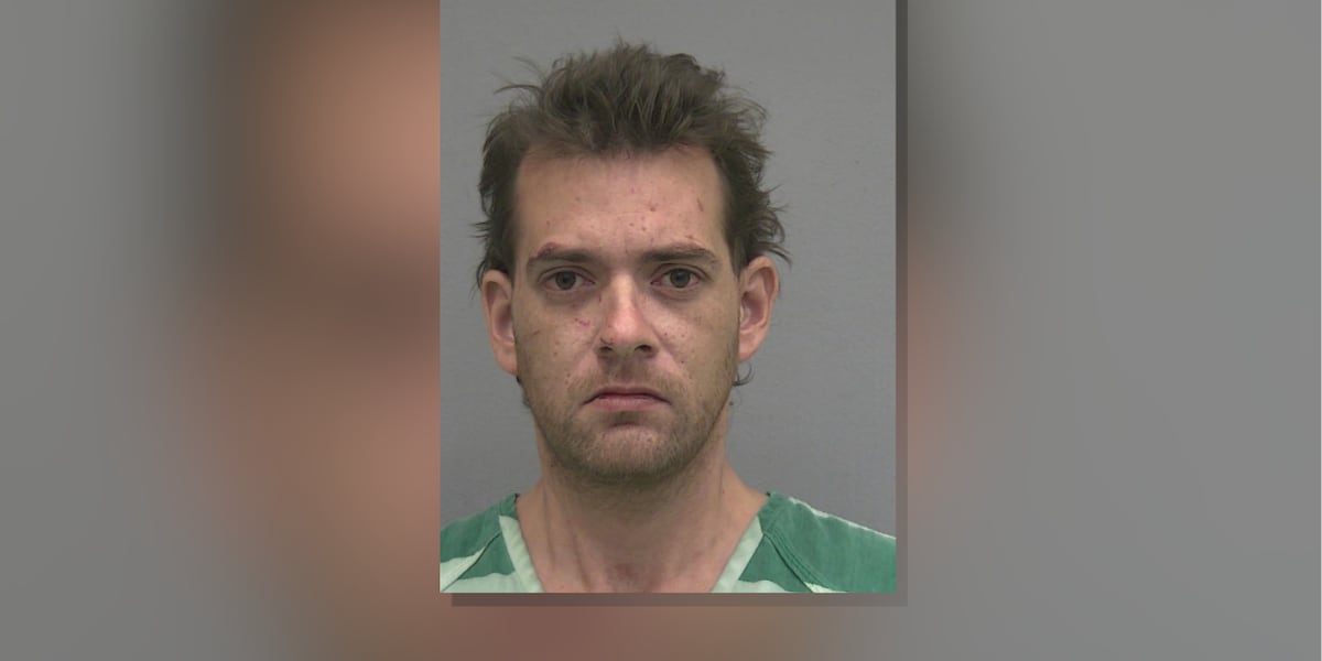 Homeless man arrested for attacking elderly mother