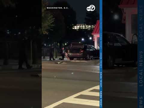 Man arrested after crashing into White House gate
