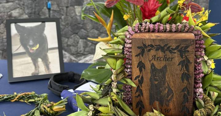 Hawaii Island police holds memorial service for police dog who died after left in hot car