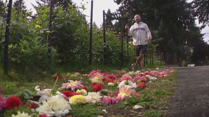Flower garden destroyed in Federal Way