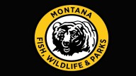 Two separate poaching cases lead to charges against against four individuals