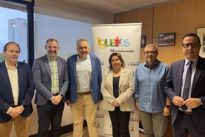 La UME y Agencia EFE, entre los galardonados con los Premios Solidarios ONCE Castilla