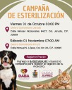 Realizará DABA campaña de esterilización gratuita para mascotas este viernes y sábado