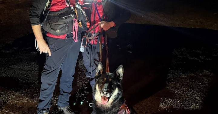 Missing 2-year-old found safe after 4½-hour search in Dorchester