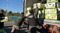 Monte Grande: Camuflaban 444 kilogramos de cocaína entre un cargamento de bananas