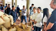 Con recursos de regalías proyectan planta tostadora de café en Casanare