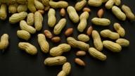 Reversing peanut advice prevented tens of thousands of allergy cases, researchers say