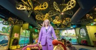 Questacon's Mini Q reopens with new adventure