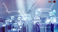 Tender puentes entre el conocimiento y la innovación: estrategias digitales de alto rendimiento para innovar en la investigación académica