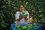 MIDAGRI fortalece las cadenas productivas para mejorar la alimentación de miles de familias peruanas