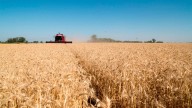 Histórico septiembre: el agro liquidó USD 7.107 millones por el régimen de retenciones cero