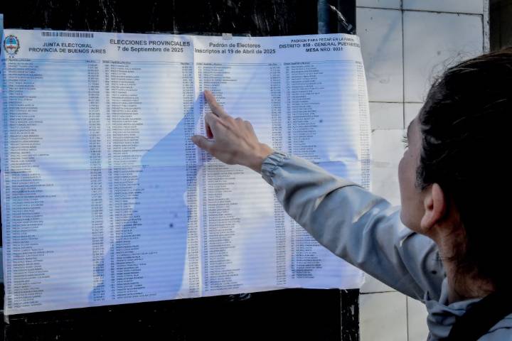 Elecciones: dónde denunciar irregularidades, faltas y delitos
