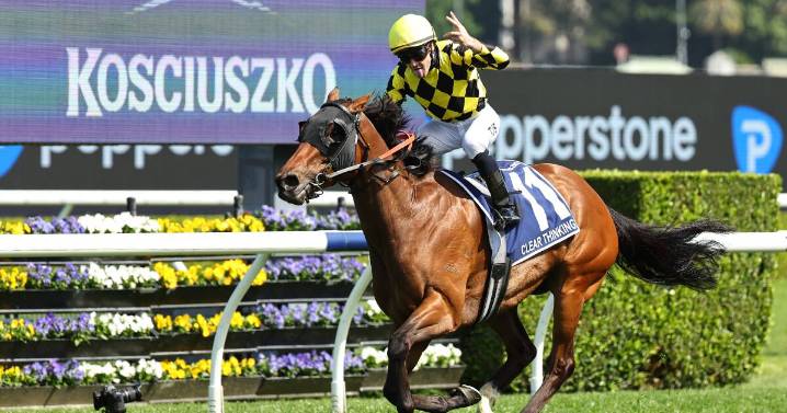 Clear Thinking wins The Kosciuszko for Scone trainer Paul Messara