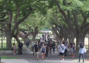 What Happens In The Brain When People Grow Up Speaking Hawaiian And English?