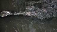 Inteligencia artificial para detectar arsénico y plomo en suelos de Matehuala