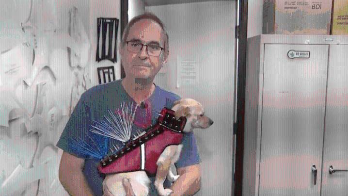 San Diego company creates 'Coyote Vest' to help protect pets after recent attacks
