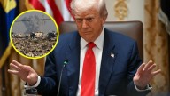 "Quizás violentamente": Donald Trump afirma que EEUU desarmará a Hamás si el grupo se niega a hacerlo
