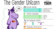 Contributor: I'm an intersex professor. Am I supposed to lie by teaching 'only male and female'?