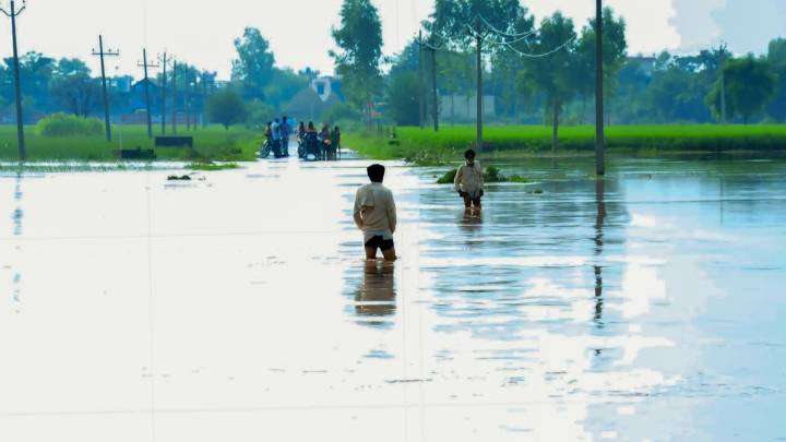 Punjab's Fields Under Water, India's Food Security At Risk
