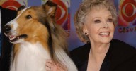 Lassie legend June Lockhart dies at age 100