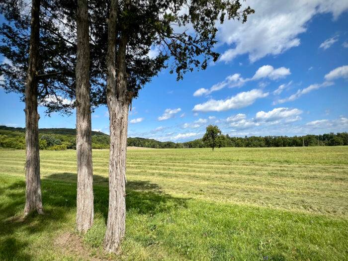 Winston Farm Project lawyer warns the Saugerties Town Board to rethink new public comments