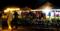 South Texas Botanical Gardens closes early Oct. 10 for annual fundraiser
