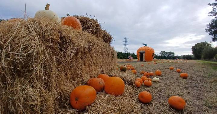 Half term events in Derbyshire to enjoy with the whole family this autumn