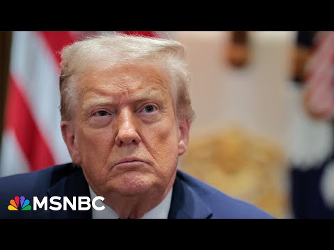 ‘The victim is the American people’: Trump set to force his own government to pay him $230 million