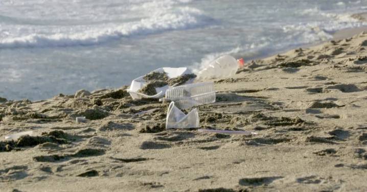 "Pescando Plástico": El proyecto ambiental impulsado por pescadores artesanal para reducir desechos del mar
