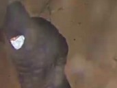 Ottawa police look to identify person of interest in east