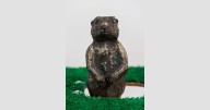 Northcutt Steele Gallery at MSU Billings presents “Lawn in a Prairie”