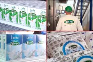 Cotapa: cómo los trabajadores salvaron la histórica láctea de Paraná y hoy, proyectan exportar