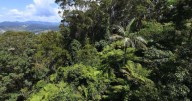 Climate trigger ruled out of nature law reforms