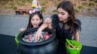 Here are 7 things to do this weekend in the Evansville area
