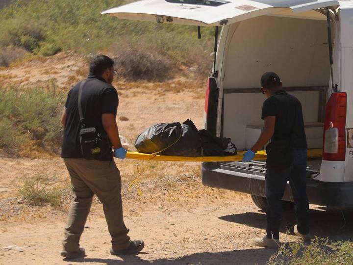Niño sale a pastorear sus ovejas y halla el cadáver de una mujer