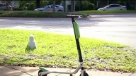 New e-scooter and e-bike rules take effect in Doral – NBC 6 South Florida