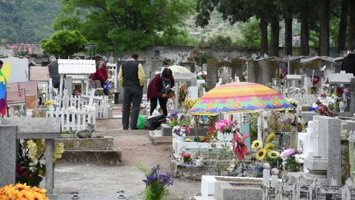 Obispo Galo Fernández celebrará misas en cementerios de Curicó y Talca